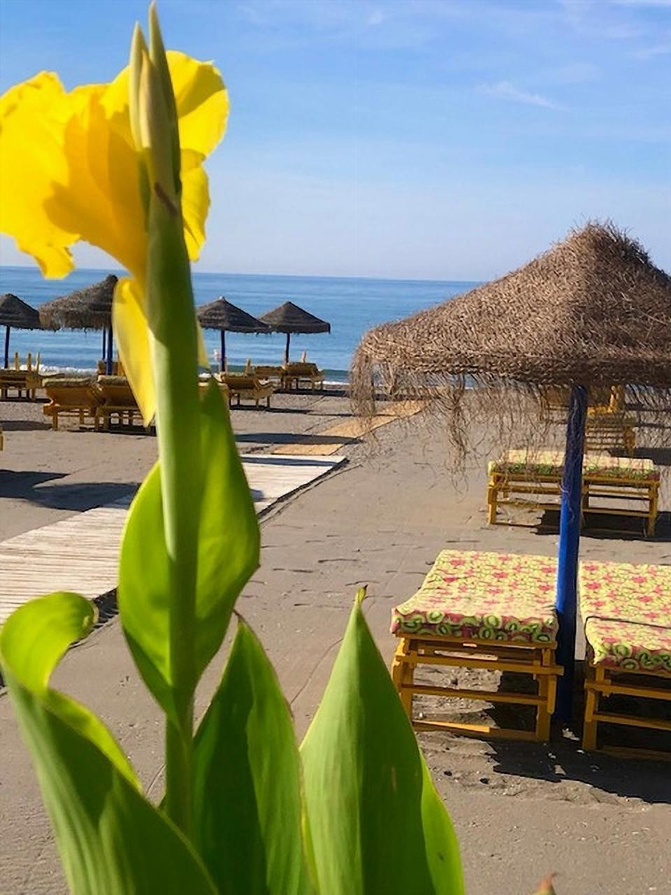 Spacious 1 Bedroom Apartment, Beach Front, Torrox Costa Экстерьер фото